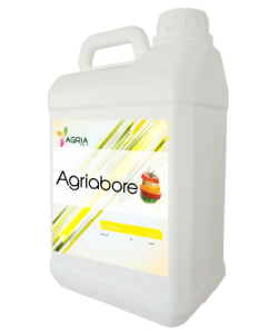 Agriabore