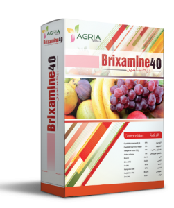 Brixamine 40
